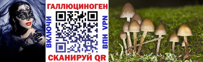 Галлюциногенные грибы Psilocybine cubensis Минусинск