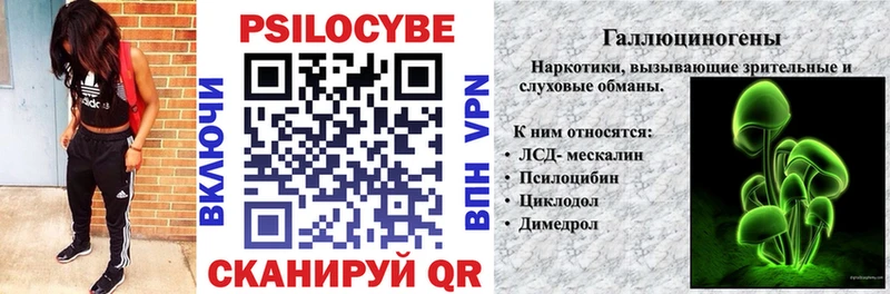 Псилоцибиновые грибы Psilocybe  Минусинск 