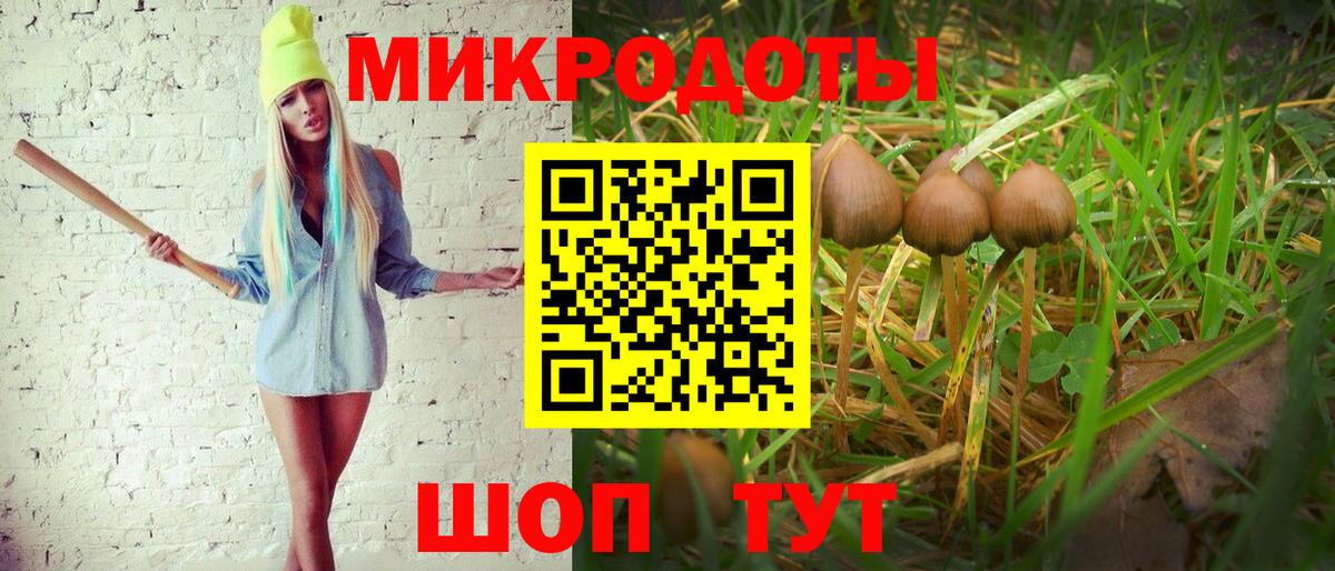 Галлюциногенные грибы Cubensis  Вход с VPN  Минусинск 